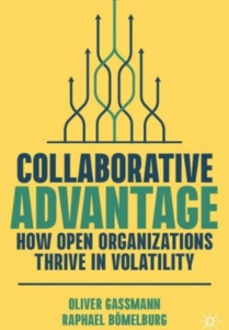 Collaborative Advantage Buch